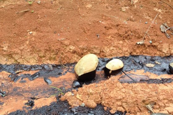 50c2ae2f227e5356ca82d2d03ac13971