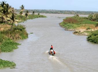 En este momento, personal especializado de la empresa adelanta las labores de recolección del producto.  Foto: Archivo particular