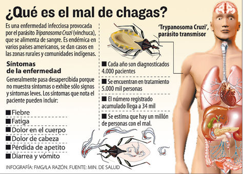 MAL-DE-CHAGAS-ILUSTRACION
