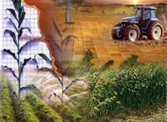 Un diamante energético que incluya actividades alternas a la exploración y la explotación de petróleo se empieza a formular en las regiones productoras de Colombia.