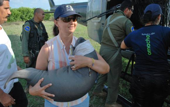 La imagen corresponde a la Fundación Omacha, en trabaja en su protección. FOTO COLPRENSA