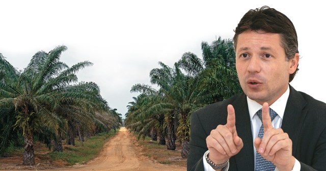 El gerente de Agroince una de las más competitivas de palma– cree que Gobierno y sector privado deben trazar una hoja de ruta para mejorar las condiciones del sector, clave en la generación de empleo.Los cultivadores de palma de aceite se quejan de los altos costos de la mano de obra, los eleva-dos precios de los fertilizantes y la dificultad para acceder a la tierra.